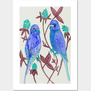 Blue budgies Posters and Art